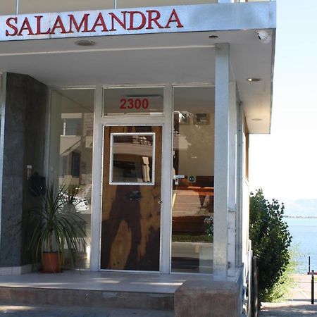 Salamandra Apartamentos El Calafate Exteriör bild
